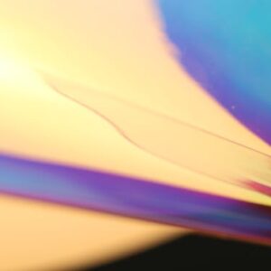 Solar Garden Lights (6 Pack)